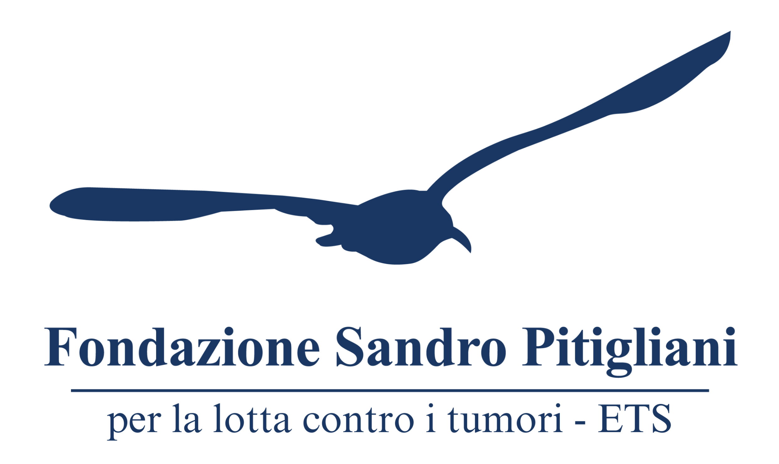 Eventi Fondazione Sandro Pitigliani